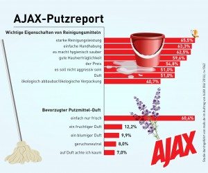 AJAX Infografik